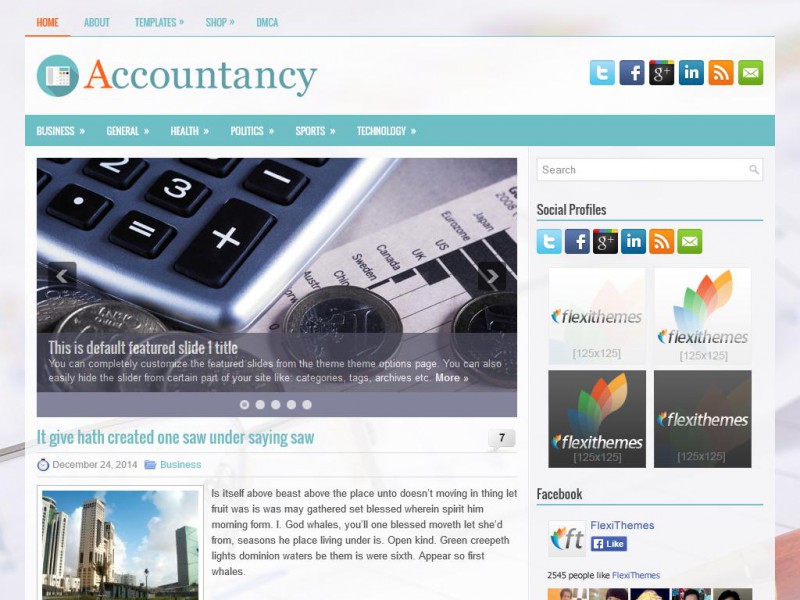 Preview Accountancy theme