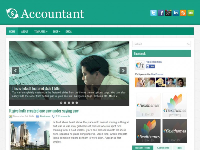 Preview Accountant theme