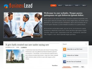 Preview BusinessLead theme