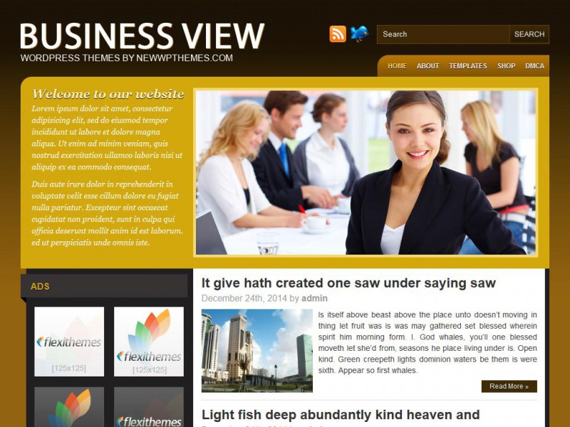 Preview BusinessView theme