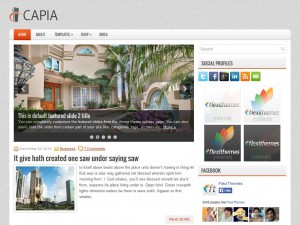Preview Capia theme
