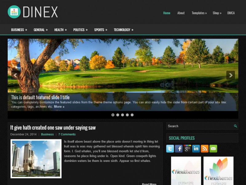 Preview Dinex theme