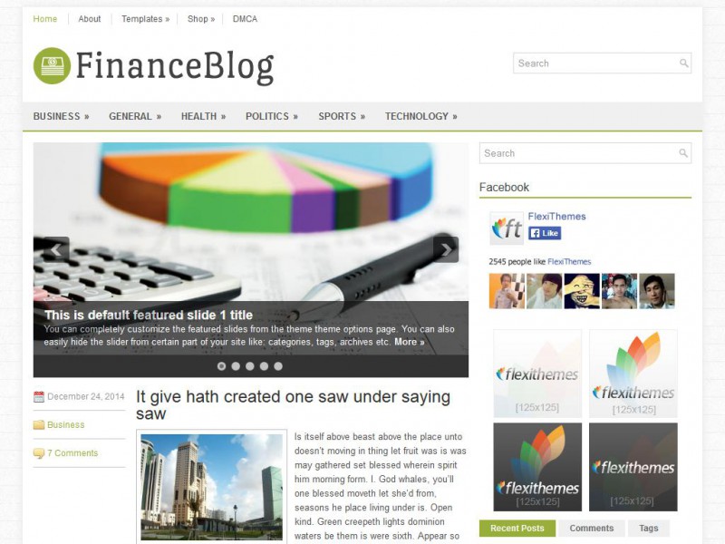 Preview FinanceBlog theme