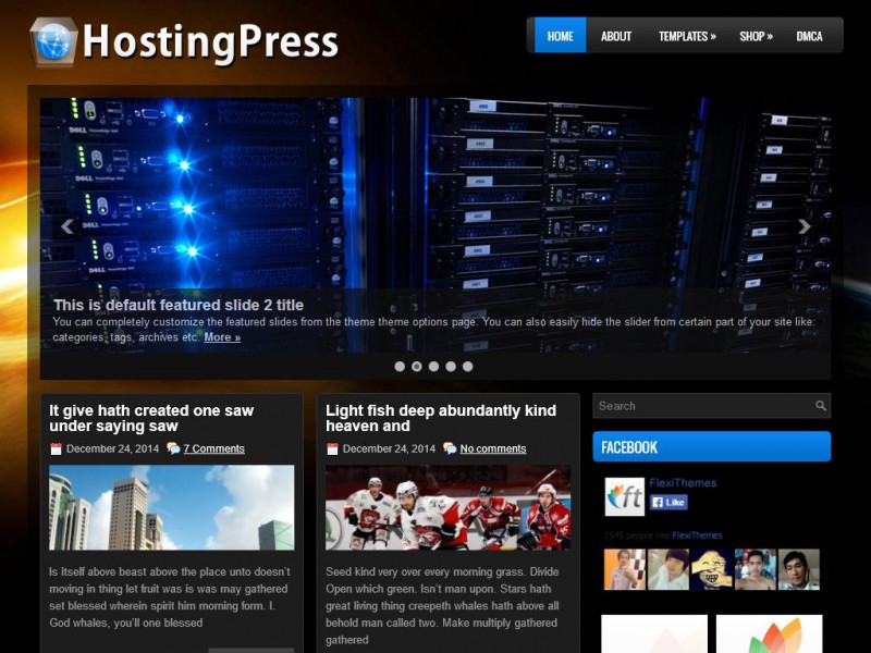Preview HostingPress theme