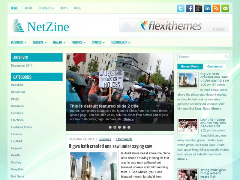 Preview NetZine theme