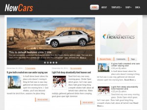 Preview NewCars theme