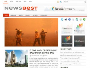 Preview NewsBest theme
