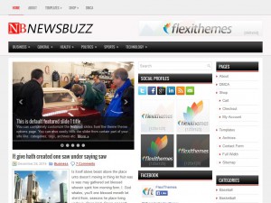 Preview NewsBuzz theme