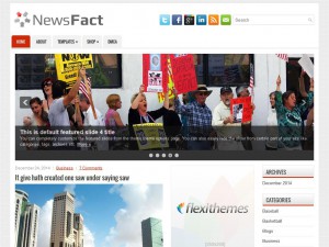 Preview NewsFact theme