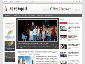 Preview NewsReport theme