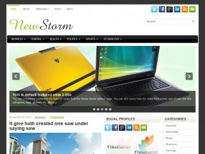 Preview NewsStorm theme