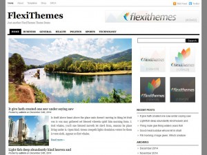 Preview NewsStory theme