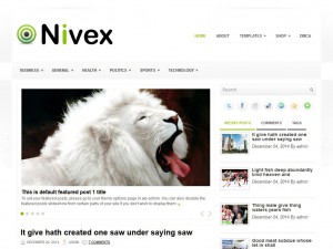 Preview Nivex theme
