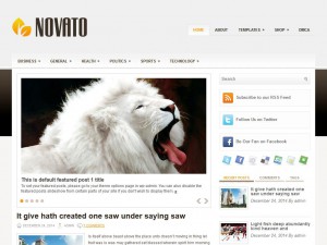 Preview Novato theme