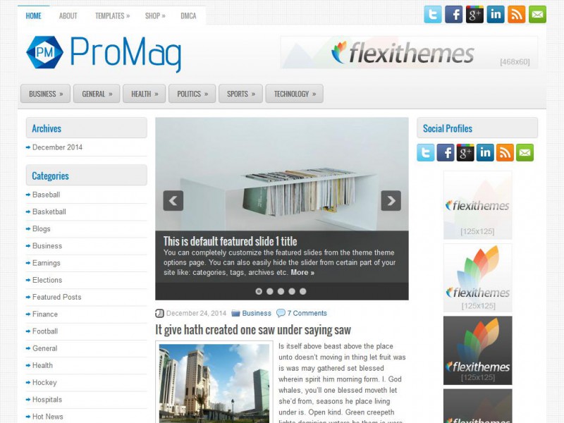 Preview ProMag theme