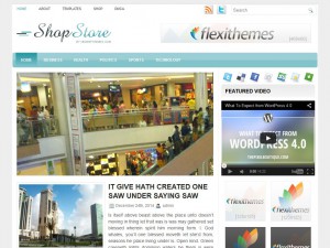 Preview ShopStore theme