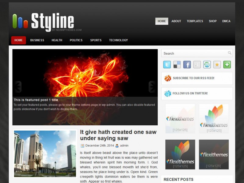 Preview Styline theme