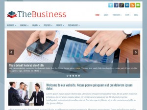 Preview TheBusiness theme