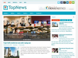 Preview TopNews theme