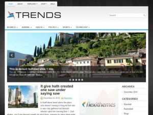 Preview Trends theme