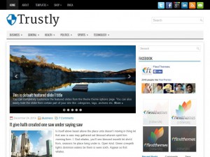 Preview Trustly theme