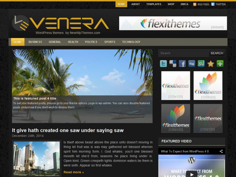 Preview Venera theme