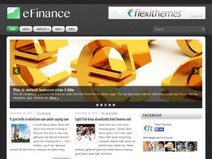 Preview eFinance theme