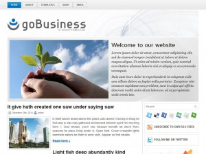 Preview goBusiness theme