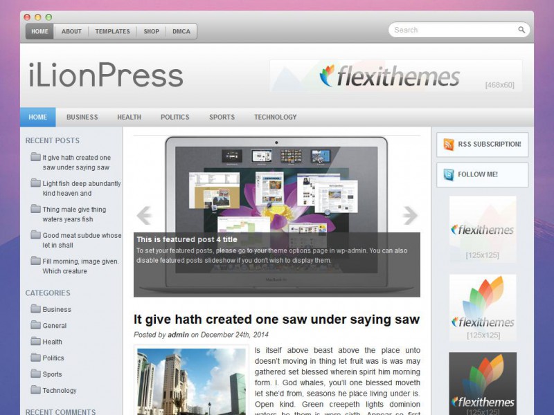 Preview iLionPress theme