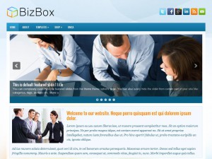 Preview BizBox theme