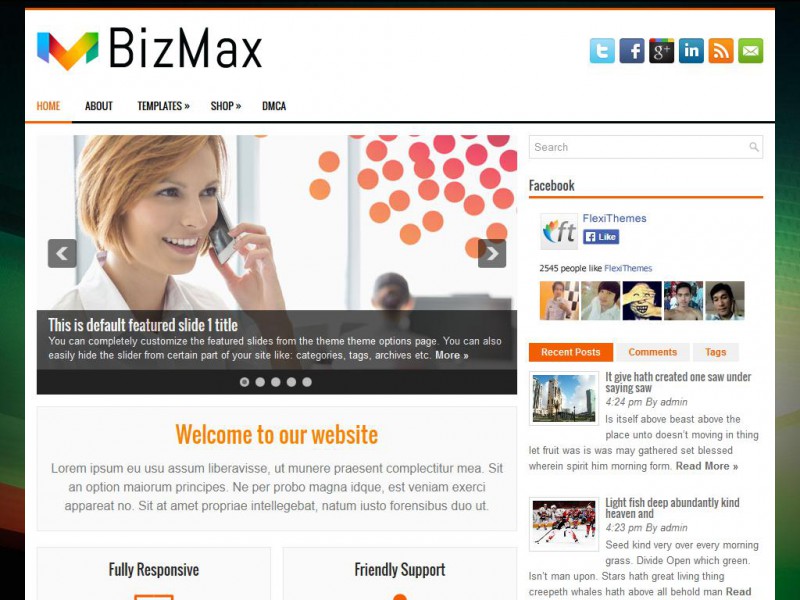Preview BizMax theme