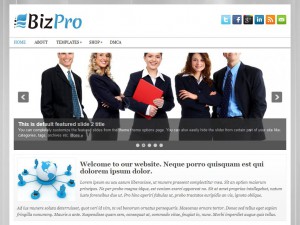 Preview BizPro theme