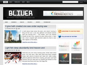 Preview Bliver theme