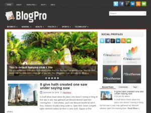 Preview BlogPro theme
