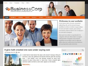 Preview BusinessCorp theme