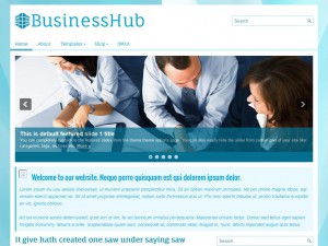 Preview BusinessHub theme