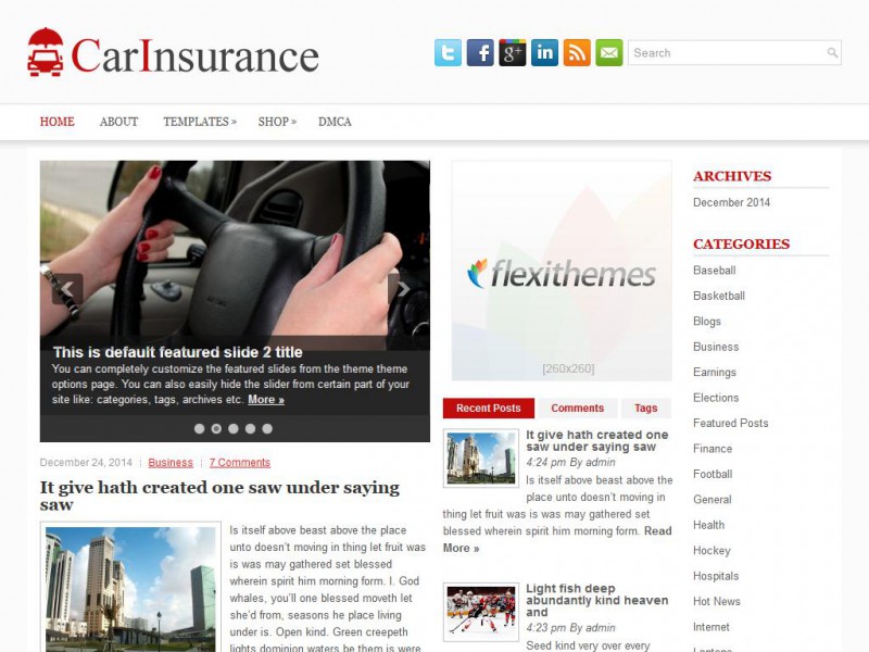 Preview CarInsurance theme