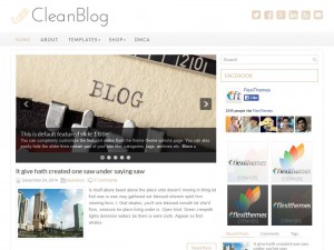 Preview CleanBlog theme
