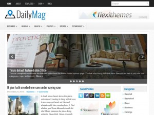 Preview DailyMag theme
