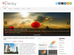 Preview Denzy theme