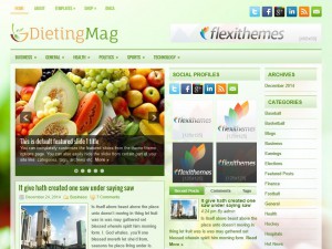 Preview DietingMag theme
