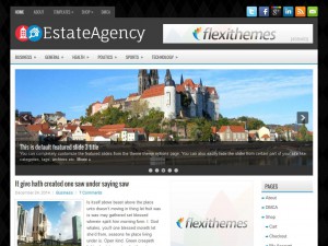 Preview EstateAgency theme