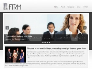Preview Firm theme