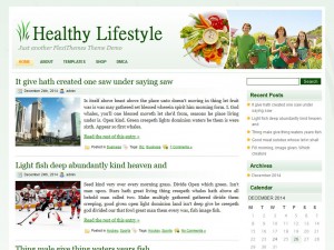 Preview HealthyLifestyle theme