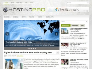 Preview HostingPro theme