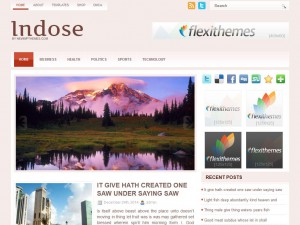 Preview Indose theme