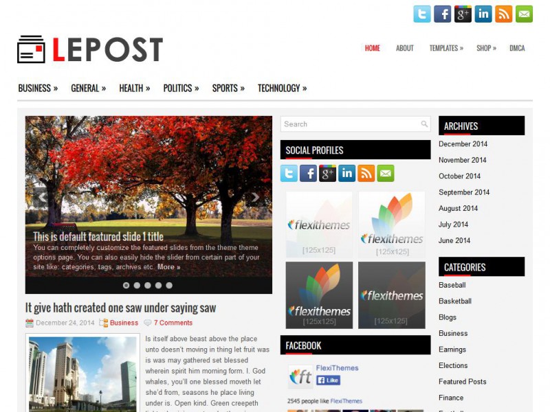 Preview Lepost theme
