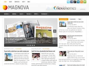 Preview MagNova theme