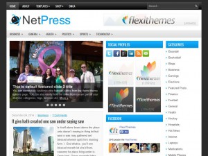 Preview NetPress theme
