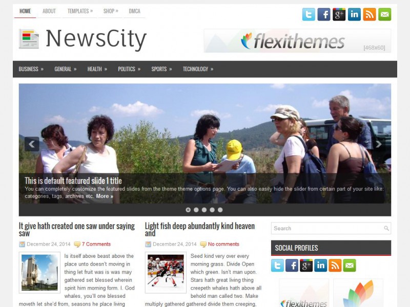 Preview NewsCity theme